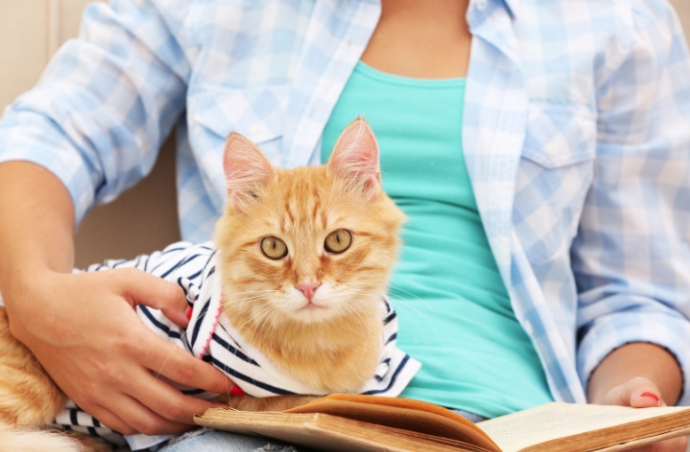 How to Take Care of a Cat: The Ultimate Guide for Loving Cat Parents