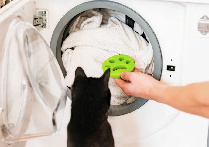 How to Wash Cat Toys: A Guide to Keeping Your Cat’s Playthings Clean and Safe