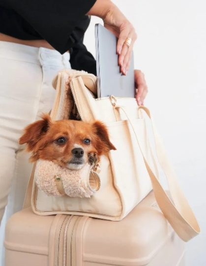 The Best Pet Carriers for Small Dogs: Choosing the Perfect Travel Companion for Your Pup