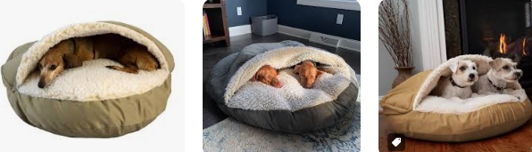 Choosing the Best Pet Cave Dog Bed: A Comprehensive Guide for Dog Lovers