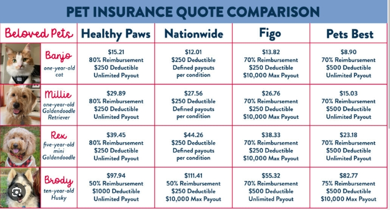 Pet Insurance Cost for Dogs: What You Need to Know and How to Choose the Best Plan