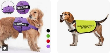 The Importance of “Do Not Pet Dog Vest”: Respecting Canine Boundaries