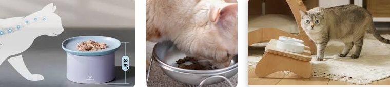 Why Raised Cat Food Bowls Are Essential and How to Choose the Right One