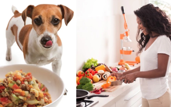 How to Make Healthy Pet Food for Dogs: Delicious Recipes Your Furry Friend Will Love