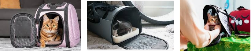 The Ultimate Guide to Pet Carriers for Cats: Ensuring Comfort and Safety for Your Feline Friend