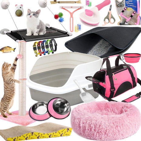 How Much Do Cat Supplies Cost? Choosing the Right Cat Supplies