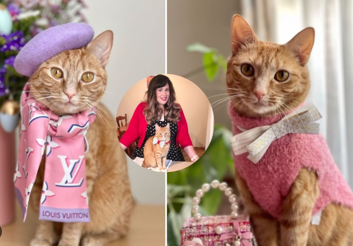 Designer Cat Clothes: A Fashion Statement for Felines